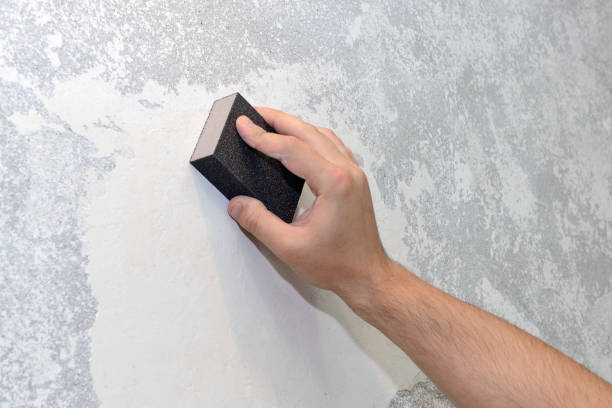 Best Attic Mold Removal  in Riva, MD