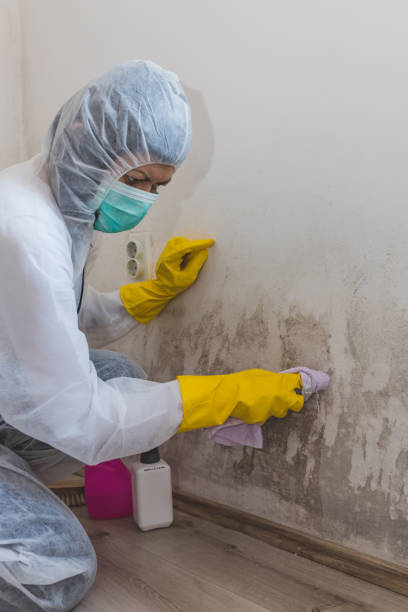 Best Indoor Air Quality Assessment  in Riva, MD