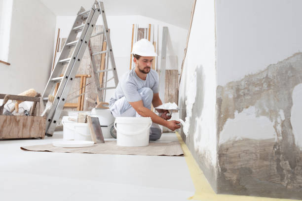 Forensic Mold Investigation in Riva, MD