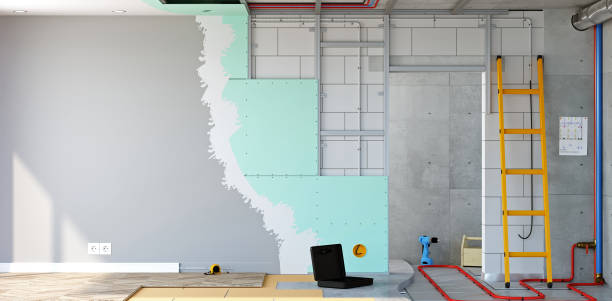 Professional Mold Removal in Riva, MD