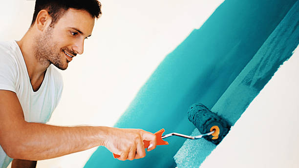 Best Emergency Mold Remediation  in Riva, MD
