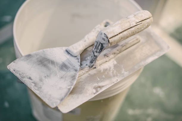 Best Mold Remediation for Healthcare Facilities  in Riva, MD