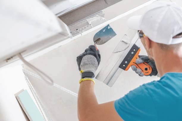 Best Post-Construction Mold Inspection  in Riva, MD